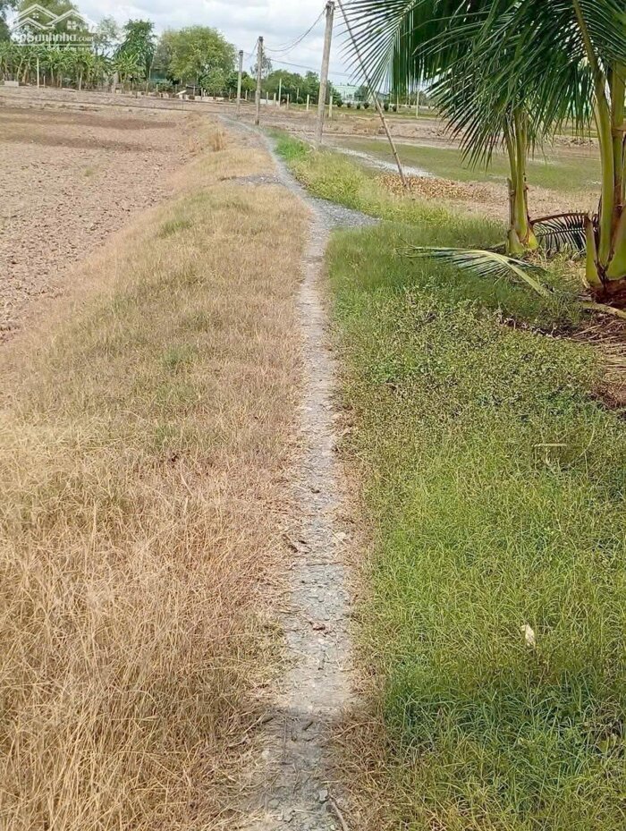 Hình ảnh Nhà vườn nghỉ dưỡng 3000m2 mt xe hơi xã Phước Đông bán gấp 2 tỏi 5 3