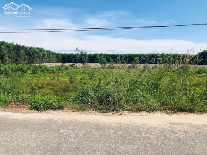 Hình ảnh Siêu Rẻ 40x35 Lý Nam Đế Tân Phước LaGi Giá Chỉ 50tr/m Ngang 2