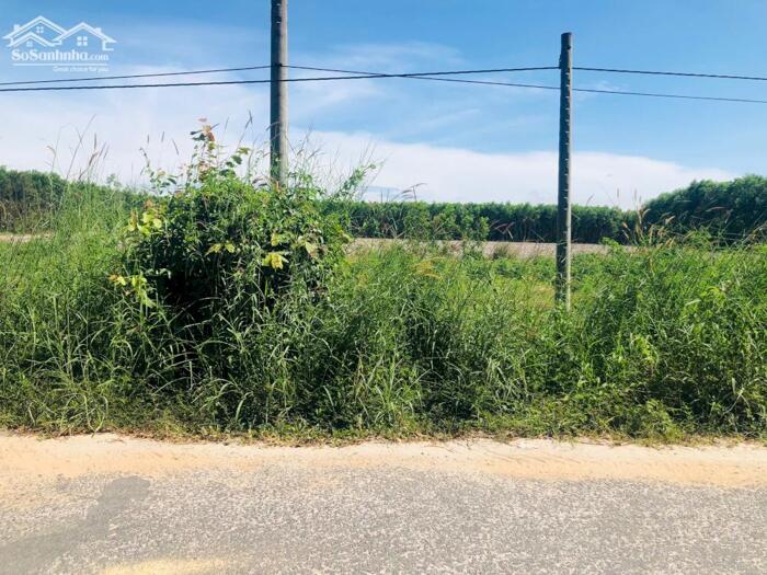 Hình ảnh Siêu Rẻ 40x35 Lý Nam Đế Tân Phước LaGi Giá Chỉ 50tr/m Ngang 0