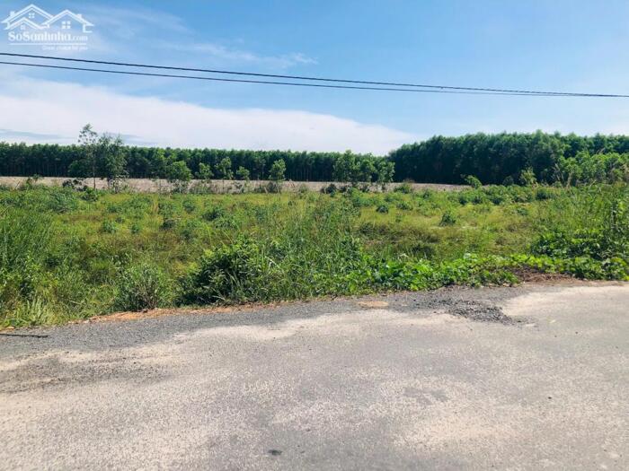 Hình ảnh Siêu Rẻ 40x35 Lý Nam Đế Tân Phước LaGi Giá Chỉ 50tr/m Ngang 1