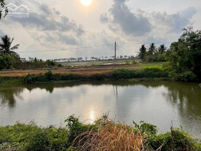 Hình ảnh B.á.n 2,3 mẫu đất ruộng rẻ giá 350tr/1000m2 mặt tiền kênh 3, gần Biển Rạch Bùn, Tân Điền. 1