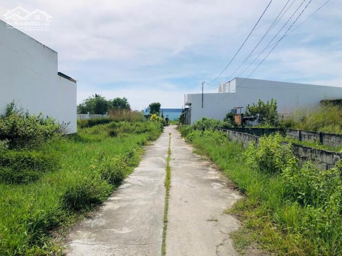 Hình ảnh 4,5x25(114m2) Full Thổ Cư, Hẻm Nguyễn Trãi, Bình Tân, LaGi Giá 950 Triệu 0