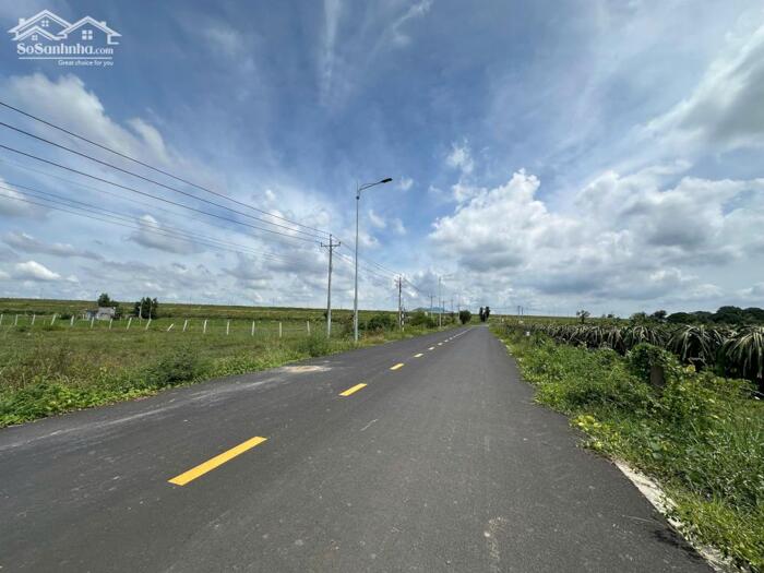 Hình ảnh 20X72(1531M2) Nguyễn Minh Châu Tân Tiến Giá 130tr/m Ngang View Hồ Núi Đất 2