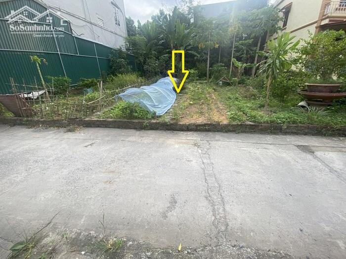 Hình ảnh Bán đất Bình Minh Thanh Oai, Sát đấu giá Mả Tre, ngõ ô tô thông, AN CƯ ĐỈNH 1