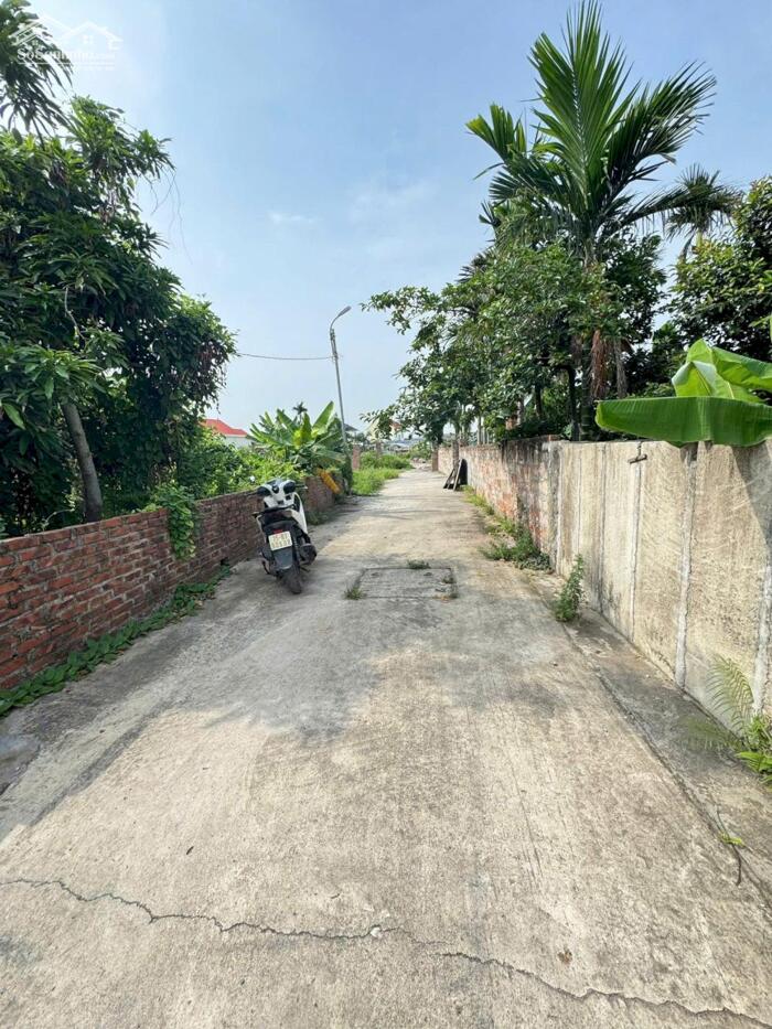 Hình ảnh Bán đất gần Vinhomes, HÒa Nghĩa, Dương Kinh, Hải Phòng. 0