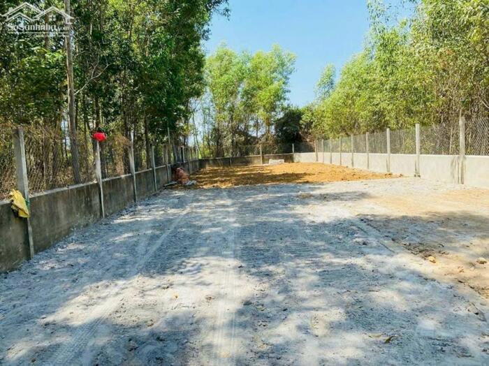 Hình ảnh Đất Thạnh Phú Vĩnh Cửu Mặt Tiền đường Ông Binh, gần ngã ba Bình Ý 0
