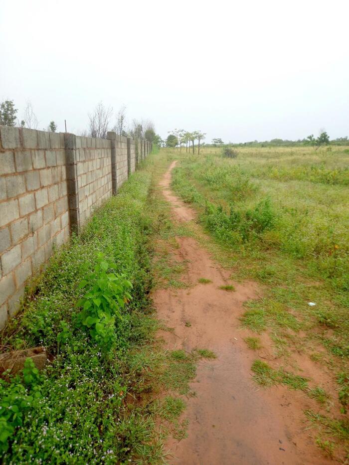 Hình ảnh Đất Ngộp,gần bên 719B-Tuyên Quang(Hàm Mỹ-Hàm Thuận Nam)-Lâm Đồng-11.400m2 2