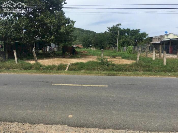 Hình ảnh Ngộp quá bán nhanh-Đất xã Hàm Thuận Bắc(Thuận Hoà)-Lâm Đồng-DT 7 sào 0