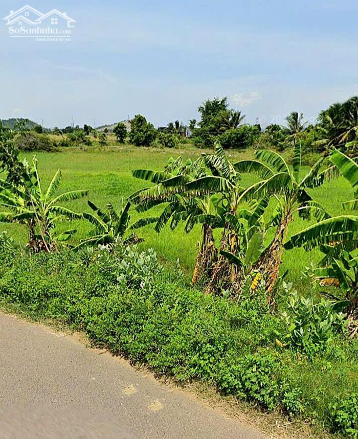 Hình ảnh Ngộp quá bán nhanh-Đất xã Hàm Thuận Bắc(Thuận Hoà)-Lâm Đồng-DT 7 sào 2