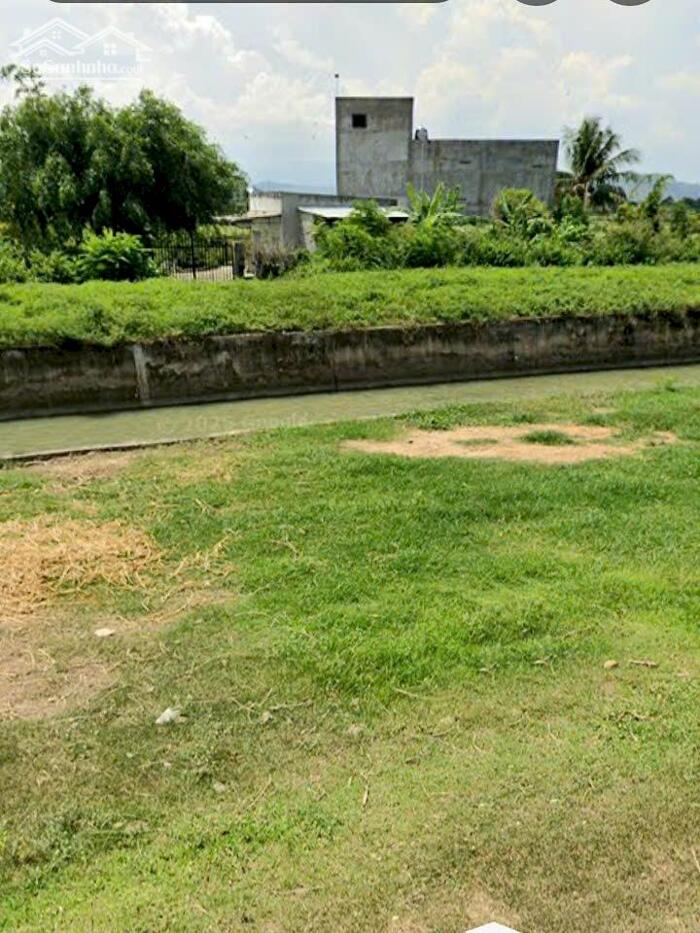 Hình ảnh Ngộp quá bán nhanh-Đất xã Hàm Thuận Bắc(Thuận Hoà)-Lâm Đồng-DT 7 sào 3