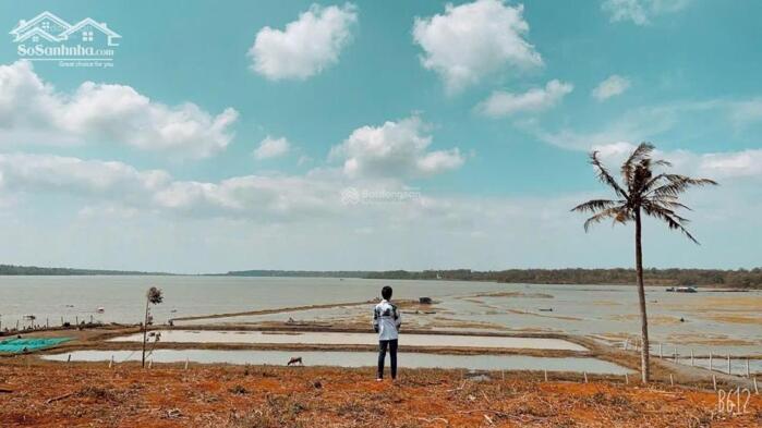 Hình ảnh Vip 1,2 Hecta Thổ Cư 1200M2 Ôm View Hồ Lớn Ea Nhái Xã Cuor Đăng 20 Tỷ Quỳnh Anh 0