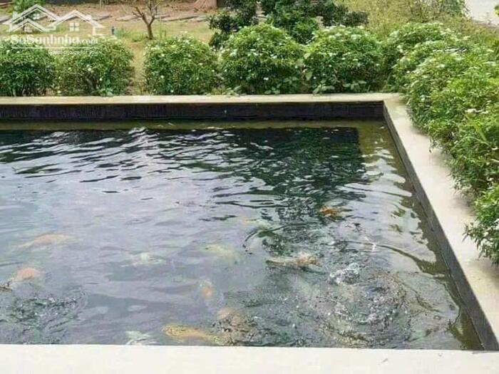 Hình ảnh CẦN BÁN NHÀ BIỆT THỰ VILA VIEW SÔNG TÂN TRIỀU Giảm Mạnh 4Tỷ 5