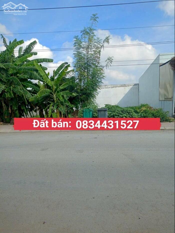 Hình ảnh Đất rộng Mt đường Phan Văn Lại, P6 TP Tân An 0