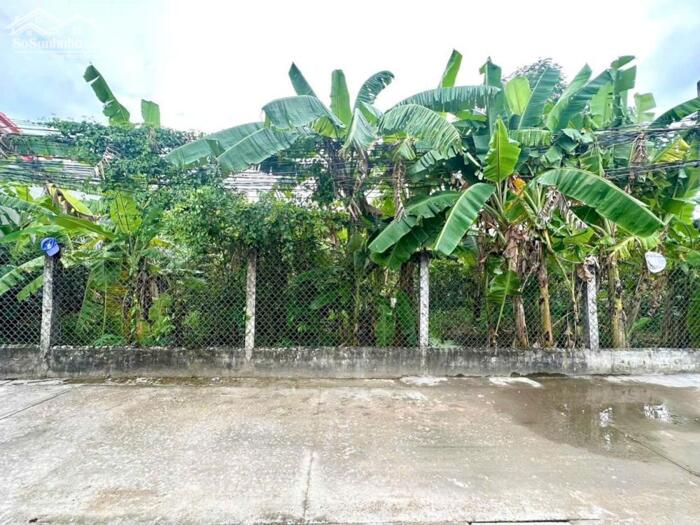 Hình ảnh Đất hẻm 239 đường Nguyễn Văn Rành P7 TP Tân An 0