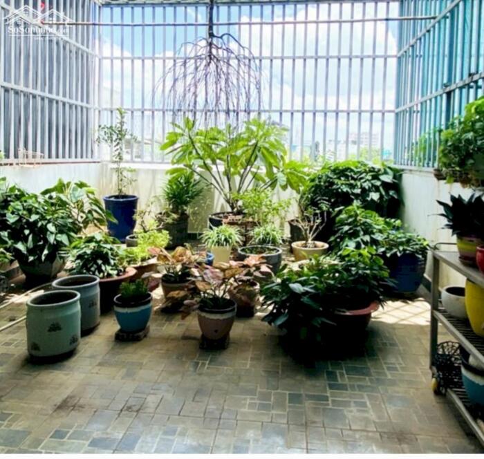 Hình ảnh Nhà Bán Riêng HXH Đổ Cửa Nguyễn Văn Đậu, 3 Tầng Sân Thượng - 50m2 Hoàn Công Giá 8 Tỷ 2