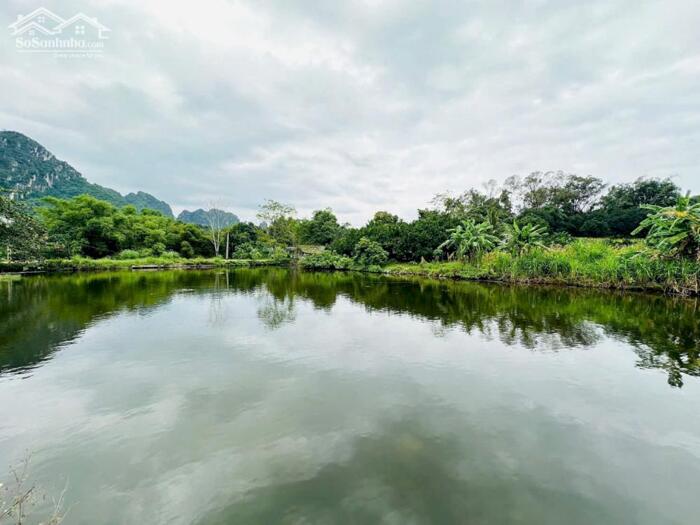 Hình ảnh LÔ GÓC - VIEW HỒ - 4631m2 (400m2 THỔ CƯ) - MT 70m - XUNG QUANH NHIỀU KHU NGHỈ DƯỠNG 1