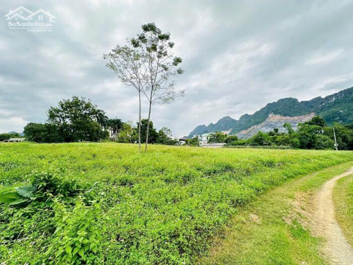 Hình ảnh LÔ GÓC - VIEW HỒ - 4631m2 (400m2 THỔ CƯ) - MT 70m - XUNG QUANH NHIỀU KHU NGHỈ DƯỠNG 3