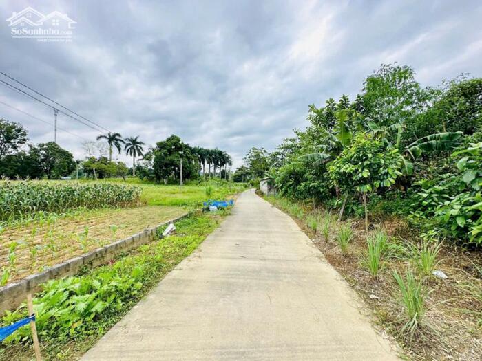 Hình ảnh LÔ GÓC - VIEW HỒ - 4631m2 (400m2 THỔ CƯ) - MT 70m - XUNG QUANH NHIỀU KHU NGHỈ DƯỠNG 4