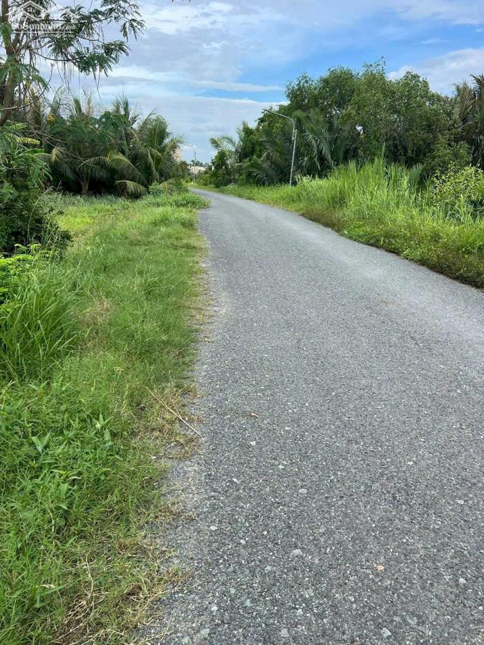 Hình ảnh Đất thổ vườn 1000m2 mt nhựa xe tải xã Tân Ân giá ngộp 1 tỏi 8 0