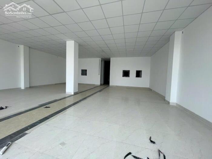 Hình ảnh Bán nhà mặt tiền Lê Quang Định , P.14, Bình Thạnh, HCM , 230m2 giá 190tr/m2 TL 3