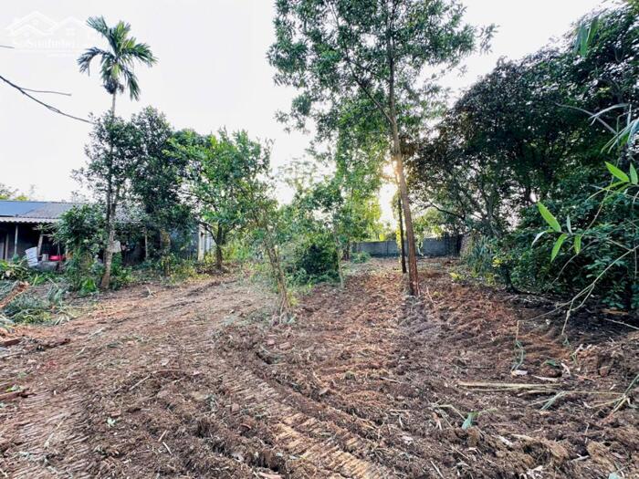 Hình ảnh SIÊU PHẨM NGHỈ DƯỠNG DT 1109m2 - MT26m - VỊ TRÍ ĐẸP SÁT KCN VÀ ỦY BAN MỚI CỦA XÃ 3