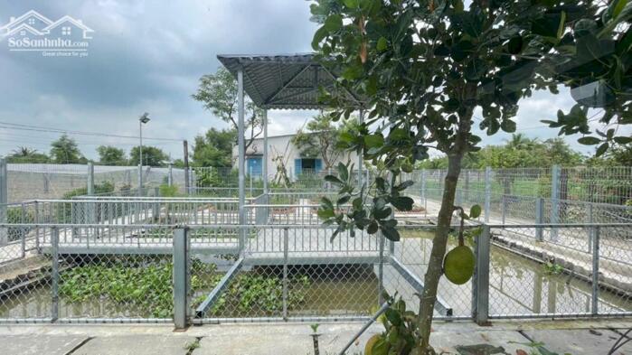 Hình ảnh bán Nhà vườn mới gần HL19 xã Tân Hòa, Đồng Tháp mới giá 1 tỷ 250 triệu 6