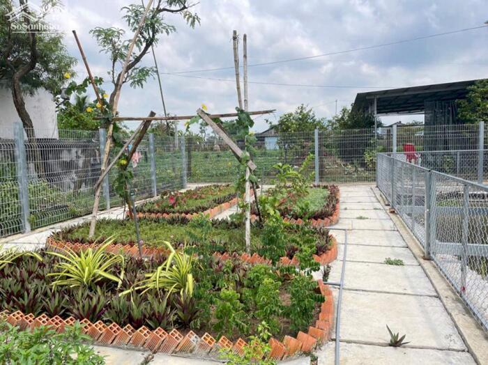 Hình ảnh bán Nhà vườn mới gần HL19 xã Tân Hòa, Đồng Tháp mới giá 1 tỷ 250 triệu 3