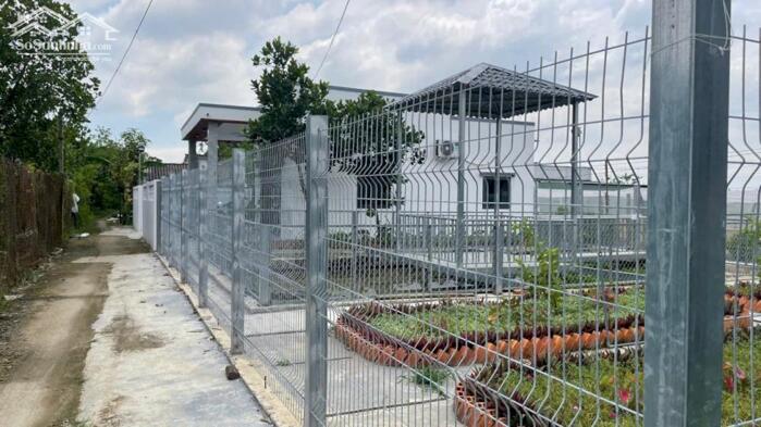 Hình ảnh bán Nhà vườn mới gần HL19 xã Tân Hòa, Đồng Tháp mới giá 1 tỷ 250 triệu 8