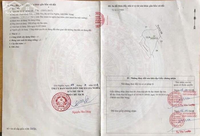 Hình ảnh Rẫy cà phê Đồng Tiến Đắk Nia nay là phường Đông Gia Nghĩa 1