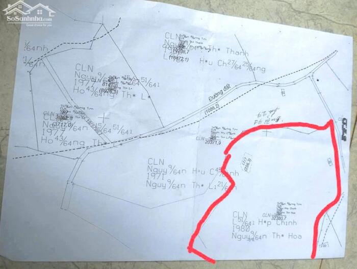 Hình ảnh Rẫy cà phê Đồng Tiến Đắk Nia nay là phường Đông Gia Nghĩa 3