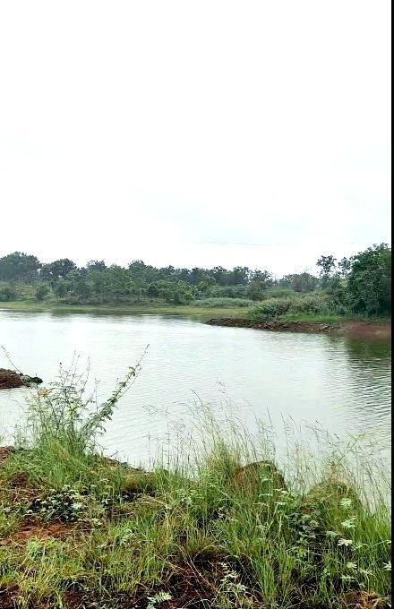 Hình ảnh Đất thổ cư giá Rẻ-Kim Ngọc-Hàm Thắng-Lâm Đồng-Gồm 4 thửa LK:160m2,View sông Phú Hài 4