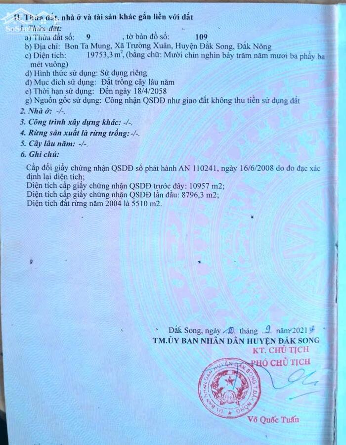 Hình ảnh 2ha rẫy cà tơ thiện trường bằng đẹp tại Trường Xuân, đầy đủ mọi tiện ích 2