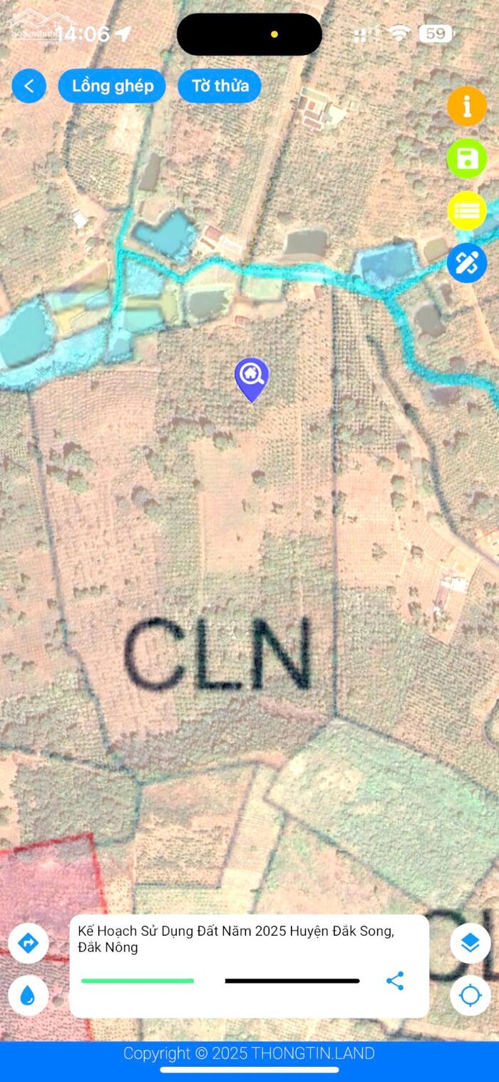 Hình ảnh 2ha rẫy cà tơ thiện trường bằng đẹp tại Trường Xuân, đầy đủ mọi tiện ích 1