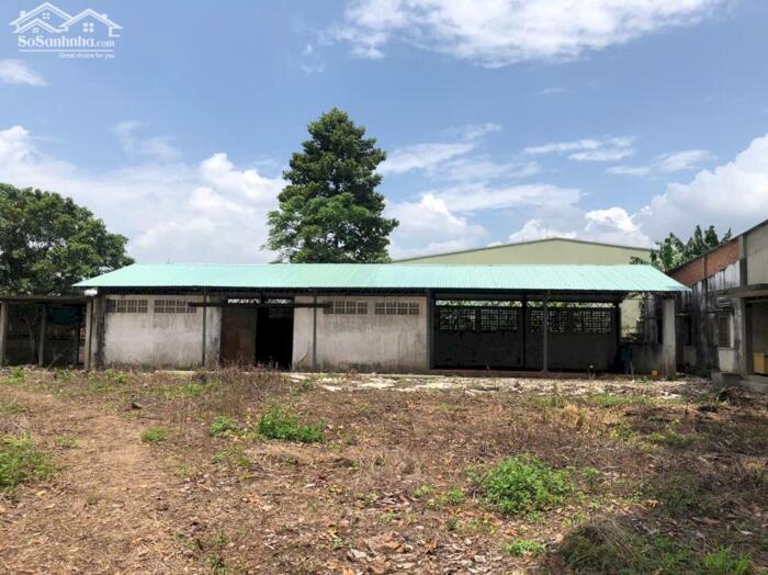 Hình ảnh BDS HVL CHO THUÊ ĐẤT - XƯỞNG 4658m2 XA LỘ HÀ NỘI 2