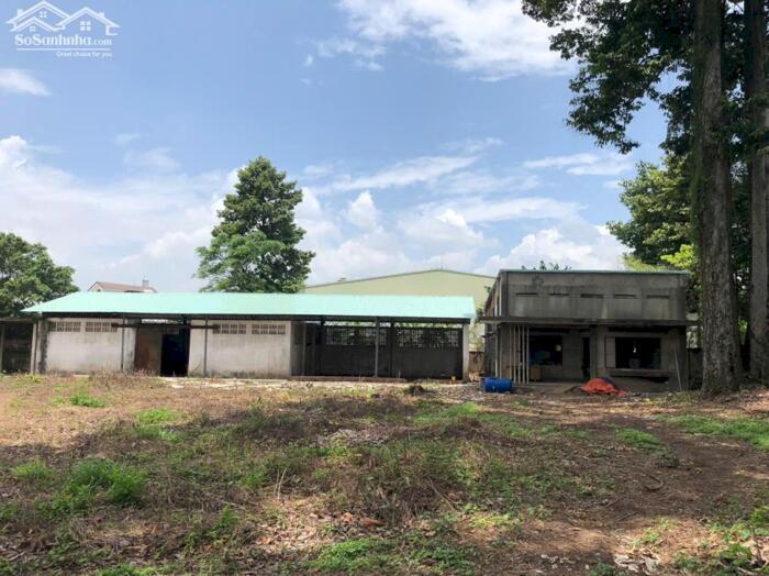 Hình ảnh BDS HVL CHO THUÊ ĐẤT - XƯỞNG 4658m2 XA LỘ HÀ NỘI 1