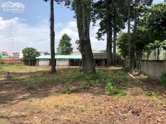 Hình ảnh BDS HVL CHO THUÊ ĐẤT - XƯỞNG 4658m2 XA LỘ HÀ NỘI 0