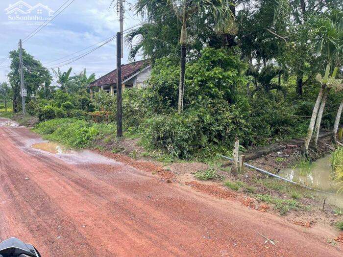 Hình ảnh Chủ hạ giá bán gấp lô góc 146m2 mt xe hơi xã Tân Lân rẻ 650tr 2