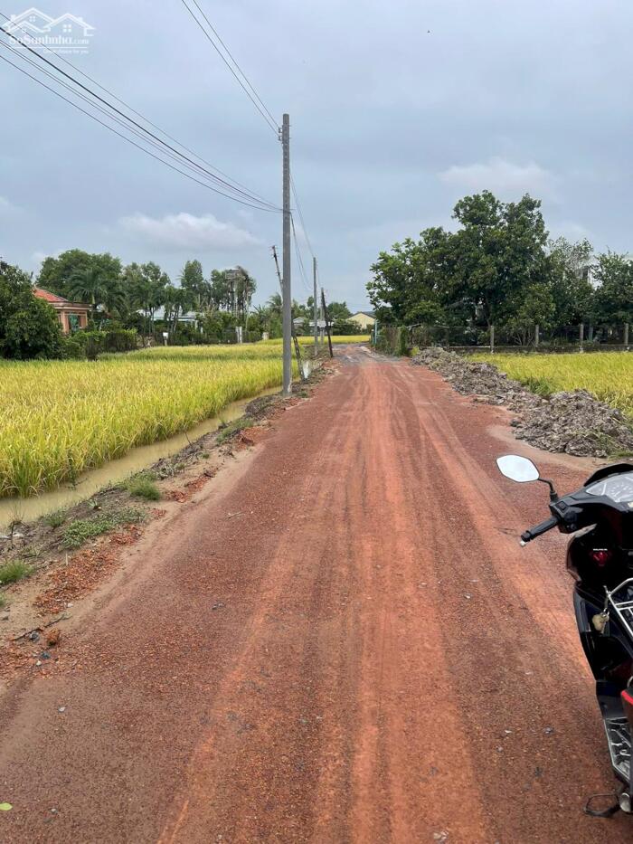 Hình ảnh Chủ hạ giá bán gấp lô góc 146m2 mt xe hơi xã Tân Lân rẻ 650tr 0