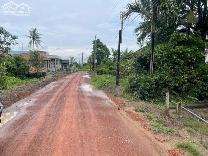 Hình ảnh Chủ hạ giá bán gấp lô góc 146m2 mt xe hơi xã Tân Lân rẻ 650tr 3