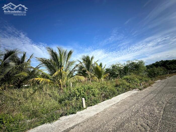 Hình ảnh 1 Ha Có 200m2 Thổ Cư Nằm Khu Dân Cư Đường Bê Tông Tân Tiến LaGi Gần Biển Giá Rẻ 2