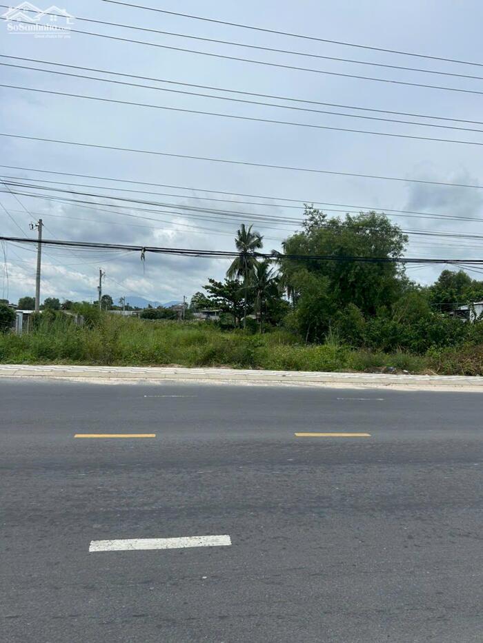 Hình ảnh 10x37(449m2) 100m2 Tc Nguyễn Chí Thanh Tân Bình LaGi Giá Cực Rẻ Chỉ 3,7 Tỷ 2