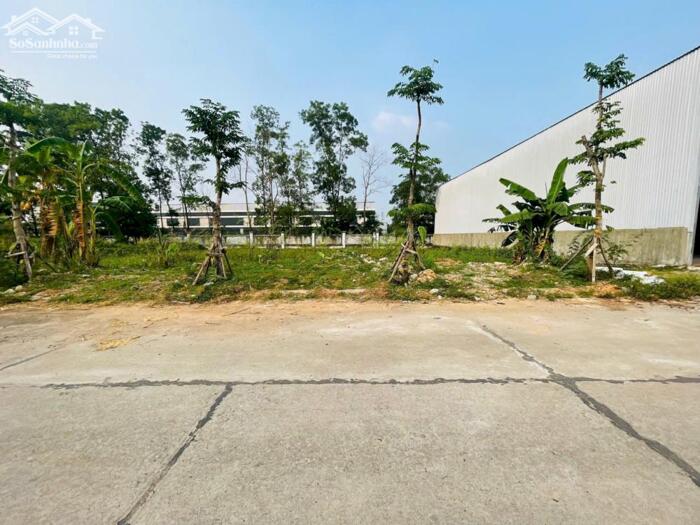 Hình ảnh Bán 2 lô liền nhau khu Tân ngọc, Bá hiến, Bình xuyên 2