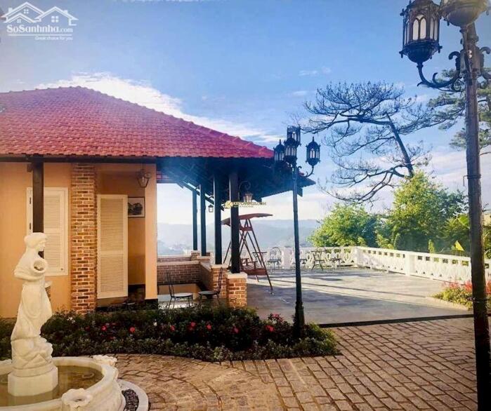 Hình ảnh Bán biệt thự 621m² hẻm ô tô lớn đường Khe Sanh, P.10, Đà Lạt – view đồi thông, sổ riêng 4