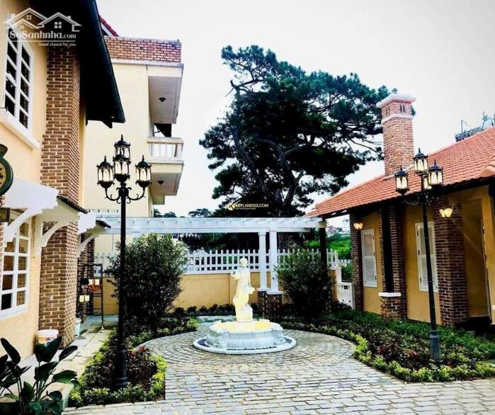 Hình ảnh Bán biệt thự 621m² hẻm ô tô lớn đường Khe Sanh, P.10, Đà Lạt – view đồi thông, sổ riêng 0