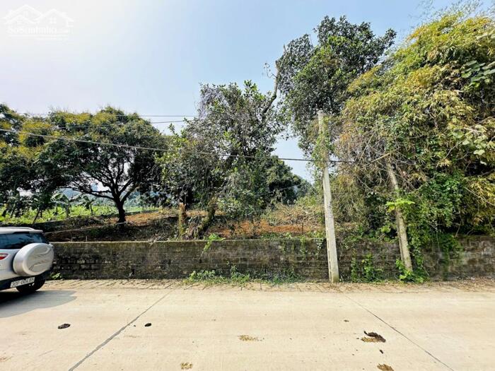 Hình ảnh SIÊU PHẨM LÔ GÓC CÓ DT 1911m2 VỊ TRÍ CỰC ĐẸP SÁT SÂN GOLF NHIỀU CÂY ĂN QUẢ 1