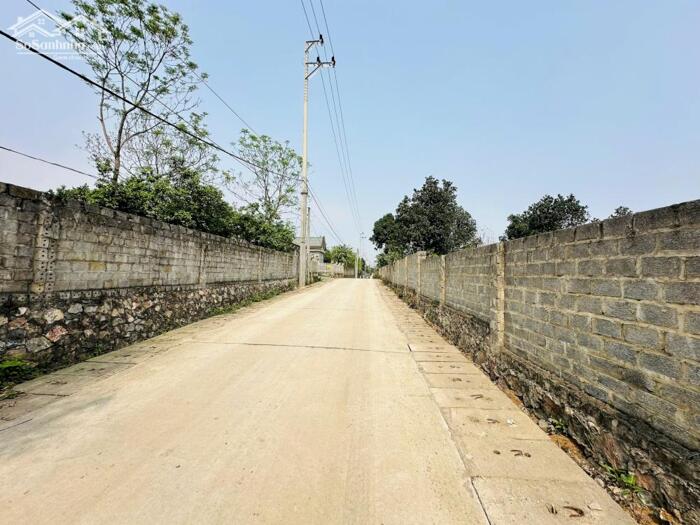 Hình ảnh SIÊU PHẨM LÔ GÓC CÓ DT 1911m2 VỊ TRÍ CỰC ĐẸP SÁT SÂN GOLF NHIỀU CÂY ĂN QUẢ 4