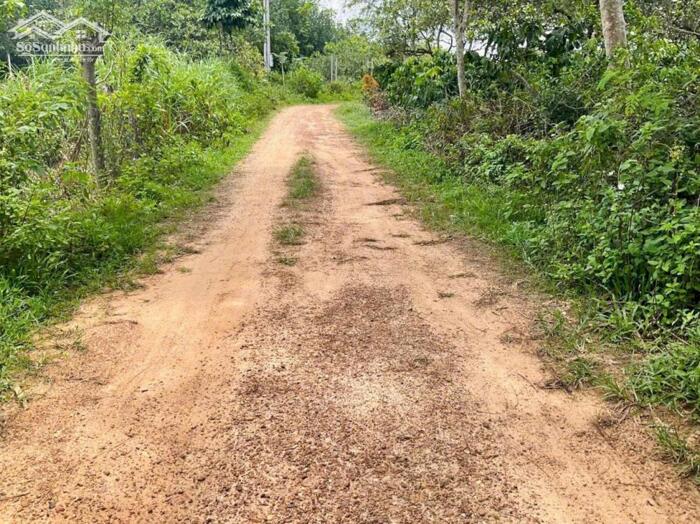 Hình ảnh Cư Ni- Ea Kar dt 7200m2 full hồng 2 mặt tiền đường 160m sẵn nhà cấp 4 tiêu cho thu chỉ 1ty xx 0