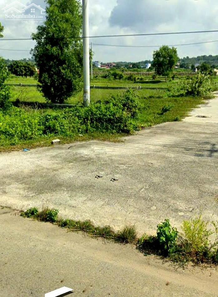 Hình ảnh Đất mặt tiền đường 719-Kê Gà-Tân Thành(Hàm Thuận Nam)-Lâm Đồng-2 lô gần liền kề:1.000m2 Thổ cư. 2