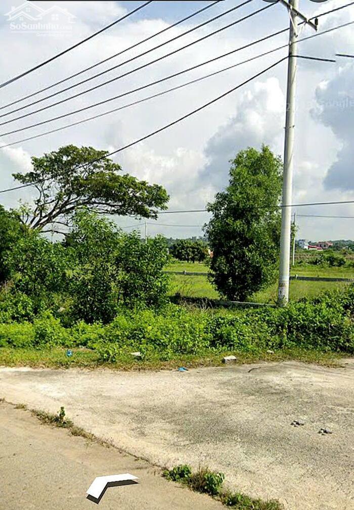Hình ảnh Đất mặt tiền đường 719-Kê Gà-Tân Thành(Hàm Thuận Nam)-Lâm Đồng-2 lô gần liền kề:1.000m2 Thổ cư. 3