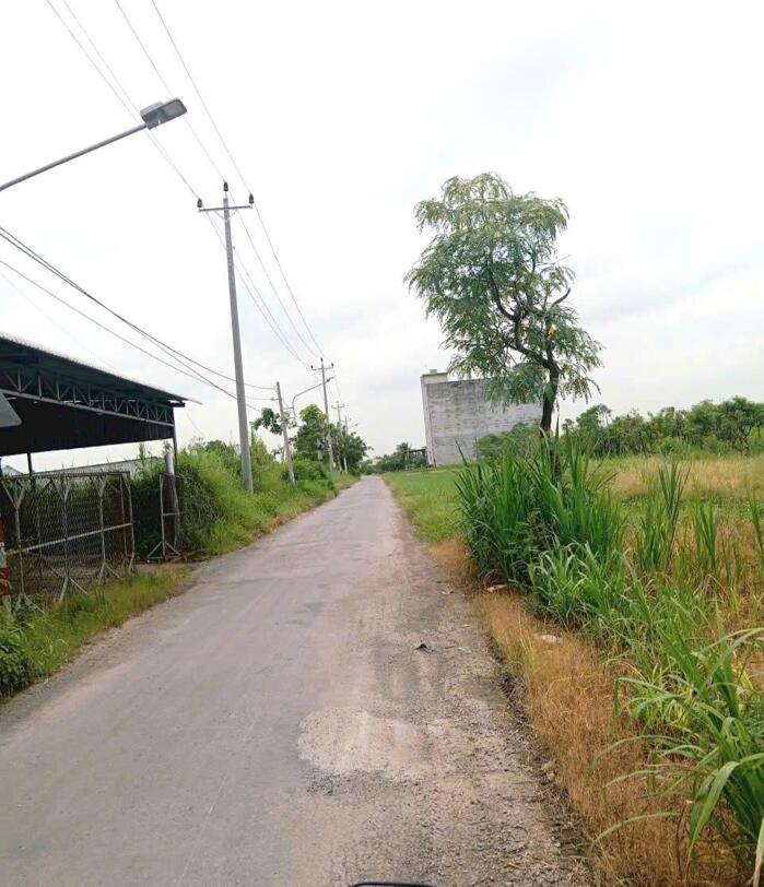 Hình ảnh bán (25x20) mặt tiền HL07 Gia Thuận, tỉnh Đồng Tháp mới. 0